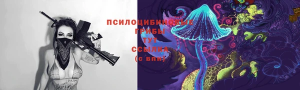 а пвп мука Куйбышев